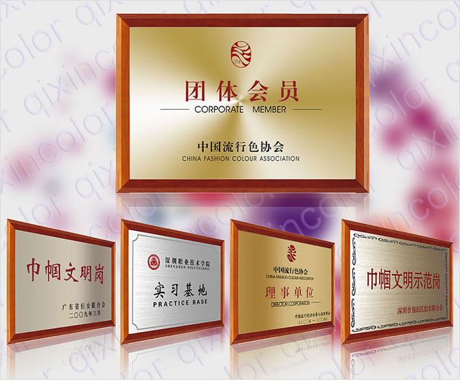 公司獲得的榮譽、獎牌